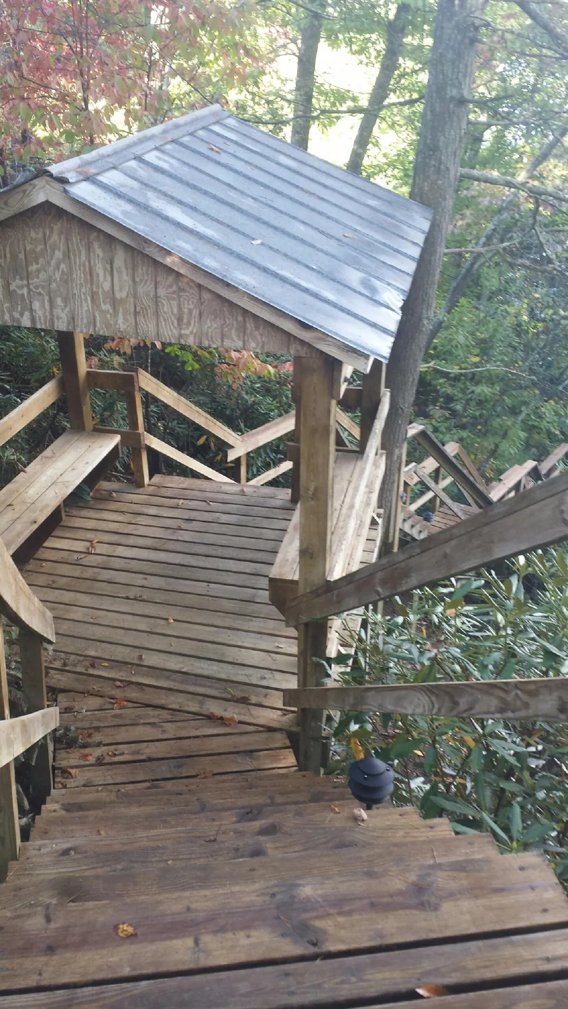 Metal roofed shelter over wooden steps on a wooded walkway — Skylight Repair & Installation work by our crew in Bentonville